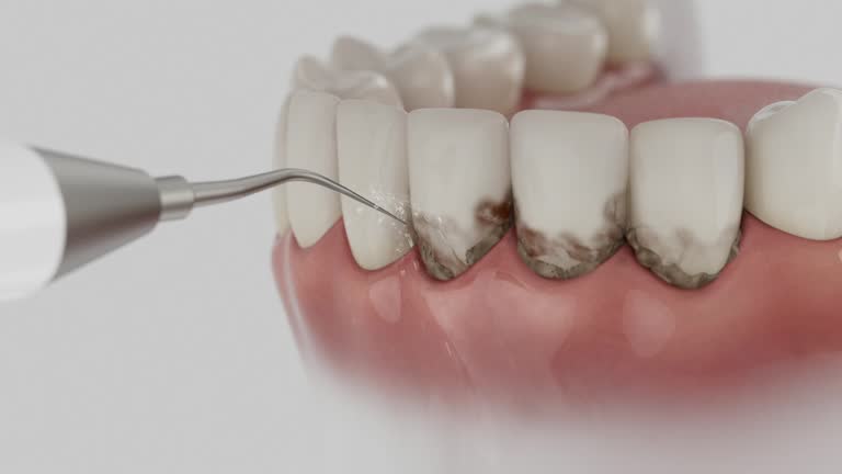 Reliable Dental contractor in Shelby, MI by Dentist Open Now